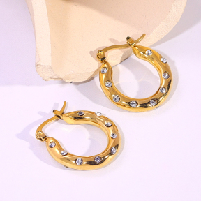 6E2007195bbov-334  Stainless Steel Earrings