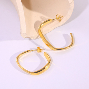 6E2007196vbnb-334  Stainless Steel Earrings