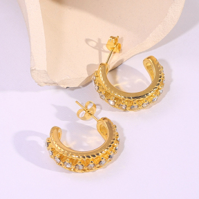 6E2007198bbov-334  Stainless Steel Earrings