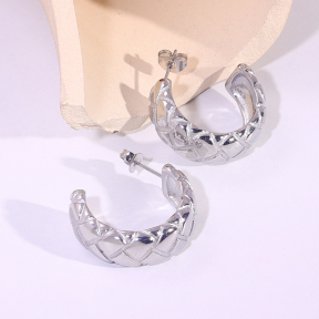 6E2007199vbmb-334  Stainless Steel Earrings