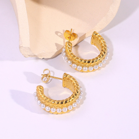6E2007201bbov-334  Stainless Steel Earrings