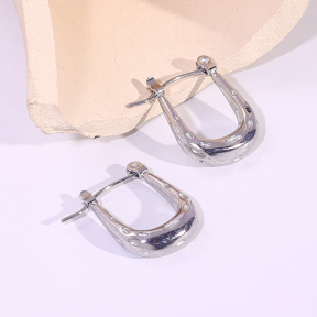 6E2007202vbnb-334  Stainless Steel Earrings