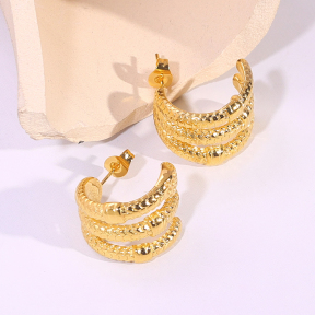 6E2007203vbnb-334  Stainless Steel Earrings