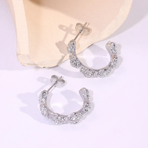 6E2007204vbmb-334  Stainless Steel Earrings
