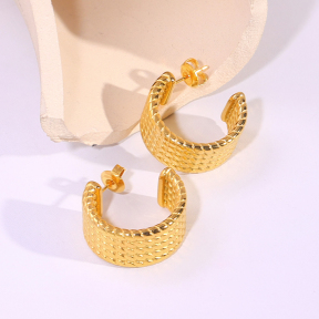 6E2007205vbnb-334  Stainless Steel Earrings