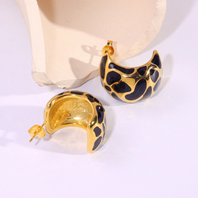 6E2007206vbpb-334  Stainless Steel Earrings