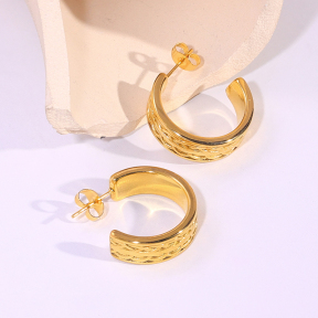6E2007207vbnb-334  Stainless Steel Earrings