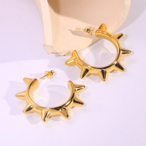 6E2007209bbov-334  Stainless Steel Earrings