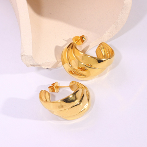 6E2007210vbnb-334  Stainless Steel Earrings