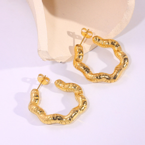 6E2007211vbnb-334  Stainless Steel Earrings
