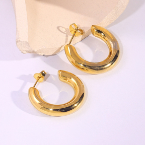 6E2007213vbnb-334  Stainless Steel Earrings