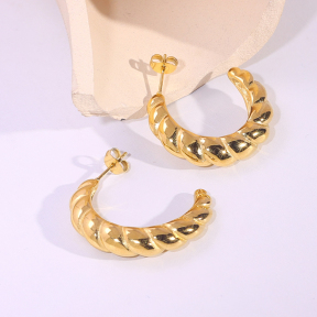 6E2007214vbnb-334  Stainless Steel Earrings