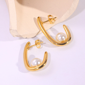 6E2007215vbnb-334  Stainless Steel Earrings