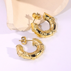 6E2007216vbnb-334  Stainless Steel Earrings