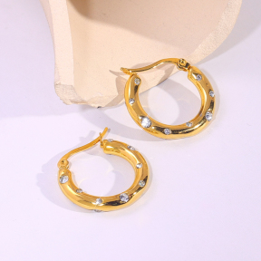 6E2007217bbov-334  Stainless Steel Earrings