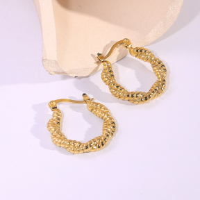 6E2007218vbnb-334  Stainless Steel Earrings