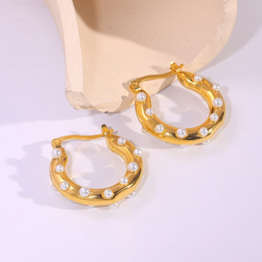 6E2007220bbov-334  Stainless Steel Earrings