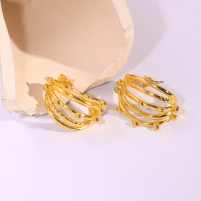 6E2007222vbnb-334  Stainless Steel Earrings