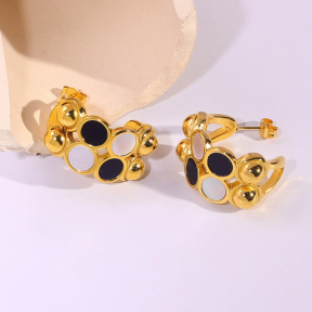 6E2007223vbpb-334  Stainless Steel Earrings