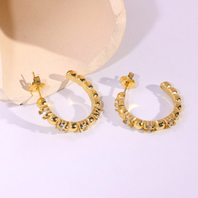 6E2007224vbpb-334  Stainless Steel Earrings