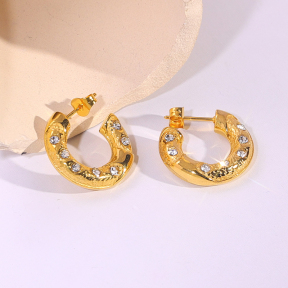 6E2007225bbov-334  Stainless Steel Earrings