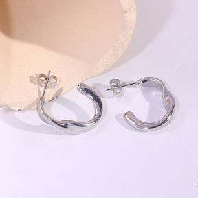 6E2007226vbmb-334  Stainless Steel Earrings