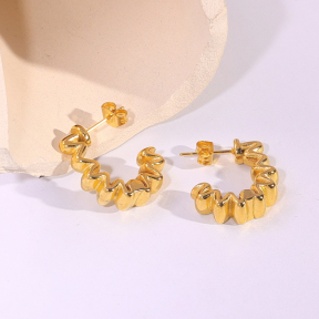 6E2007228vbnb-334  Stainless Steel Earrings