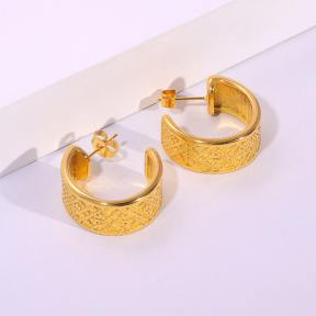 6E2007229vbnb-334  Stainless Steel Earrings