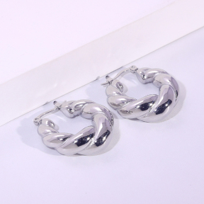 6E2007230vbnb-334  Stainless Steel Earrings