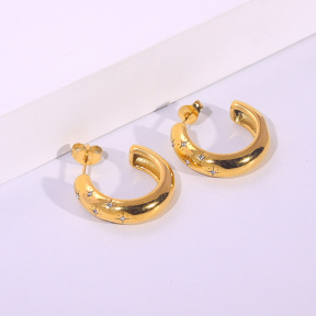 6E2007232vbnb-334  Stainless Steel Earrings