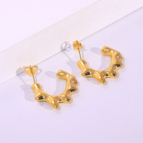 6E2007233vbnb-334  Stainless Steel Earrings