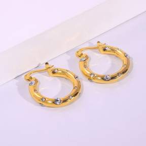 6E2007234bbov-334  Stainless Steel Earrings