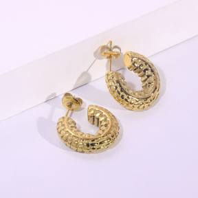 6E2007238vbnb-334  Stainless Steel Earrings