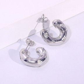 6E2007239vbnb-334  Stainless Steel Earrings