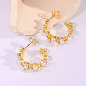 6E2007241vbpb-334  Stainless Steel Earrings