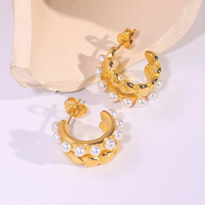 6E2007242vbpb-334  Stainless Steel Earrings