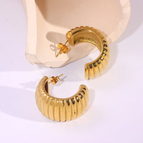 6E2007243vbnb-334  Stainless Steel Earrings