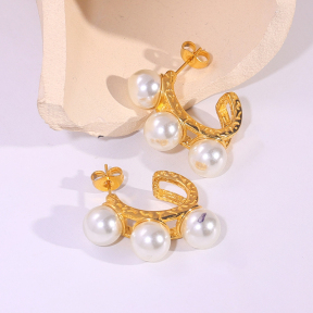 6E2007244bbov-334  Stainless Steel Earrings