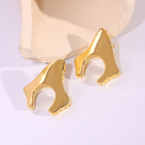 6E2007246vbnb-334  Stainless Steel Earrings