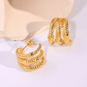 6E2007248vbnb-334  Stainless Steel Earrings