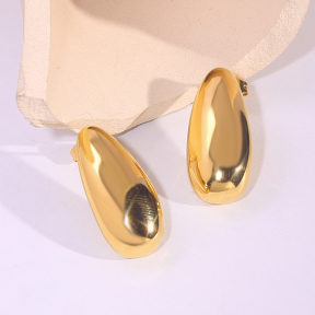 6E2007249vbnb-334  Stainless Steel Earrings