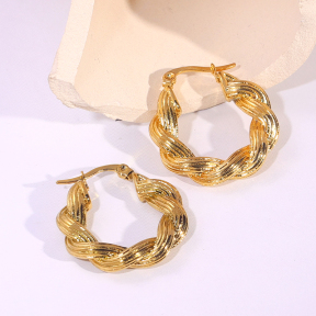 6E2007250bbov-334  Stainless Steel Earrings