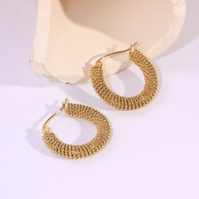6E2007252bbov-334  Stainless Steel Earrings