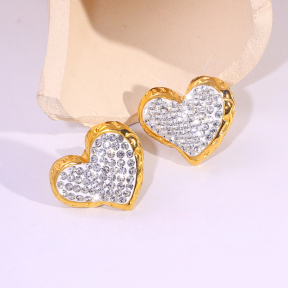 6E2007253vbpb-334  Stainless Steel Earrings