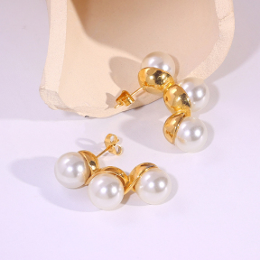 6E2007254bbov-334  Stainless Steel Earrings