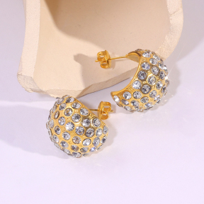 6E2007255bbov-334  Stainless Steel Earrings