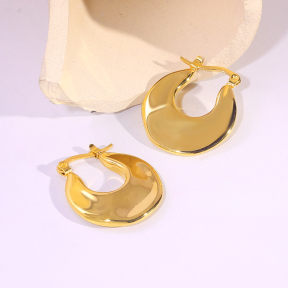 6E2007256vbnb-334  Stainless Steel Earrings