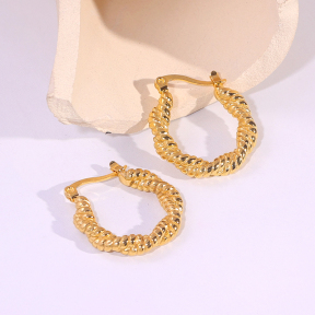 6E2007257vbnb-334  Stainless Steel Earrings