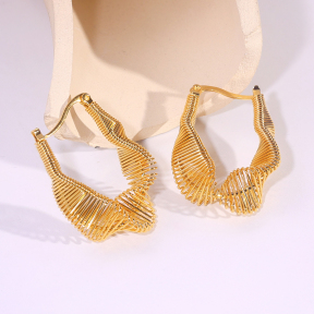 6E2007258bbov-334  Stainless Steel Earrings