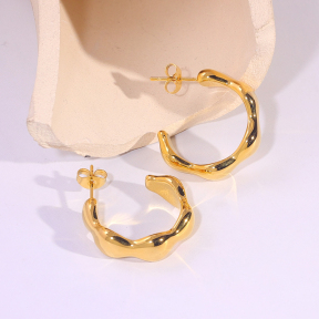 6E2007259vbnb-334  Stainless Steel Earrings